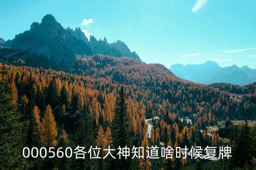 皖通科技什么時候復(fù)牌，600565什么時候復(fù)牌開市