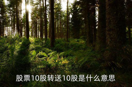 十股轉(zhuǎn)贈十股是什么意思，股票10股轉(zhuǎn)送10股是什么意思