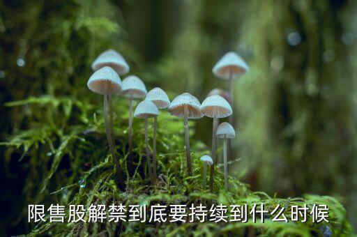 St云網限售股什么時候解禁，限售股解禁到底要持續(xù)到什么時候現在搞完一半了嗎