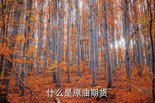 什么叫現(xiàn)貨原油期貨，什么是現(xiàn)貨原油