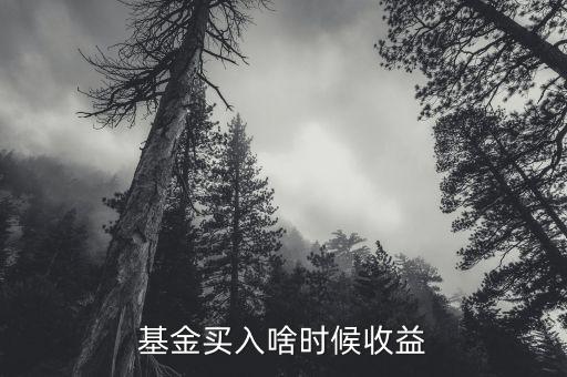 買基金什么時候算收益，基金買入啥時候收益