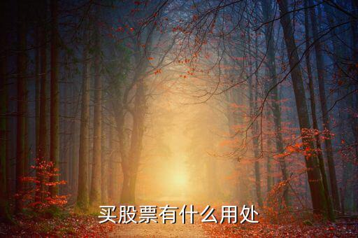 股票有什么用處，股票有什么用