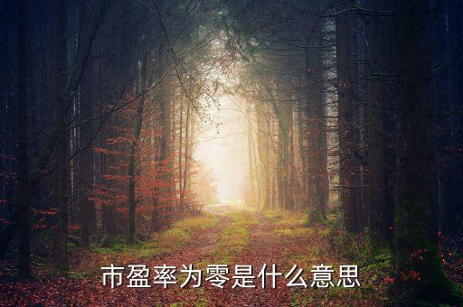 市盈率是0什么意思，市盈率為0是什么意思