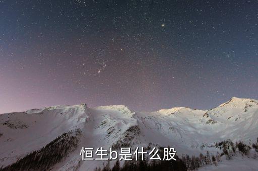 恒生b是什么股票，恒生b是什么股