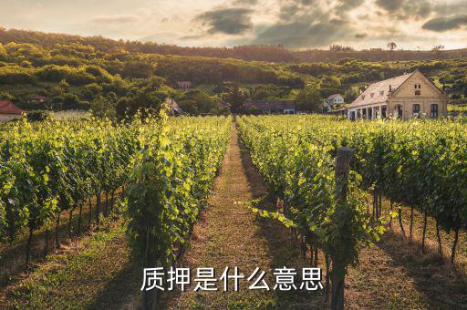 質(zhì)押是什么意思，股權(quán)質(zhì)押是什么意思 股東為什么要質(zhì)押股權(quán)