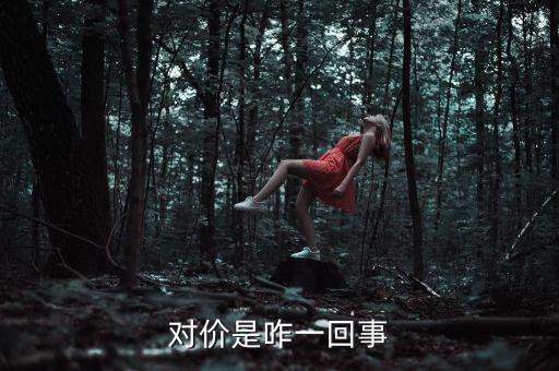 交易對(duì)價(jià)是什么，什么是對(duì)價(jià)買對(duì)價(jià)賣