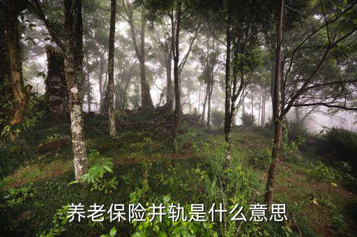 什么是城鄉(xiāng)養(yǎng)老保險并軌，養(yǎng)老保險并軌是什么意思