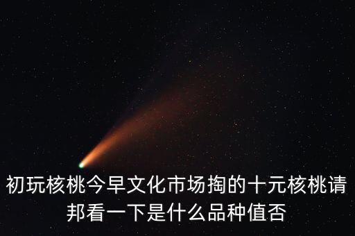賭核桃是什么品種，請問我這個手玩核桃是什么品種好嗎值多錢