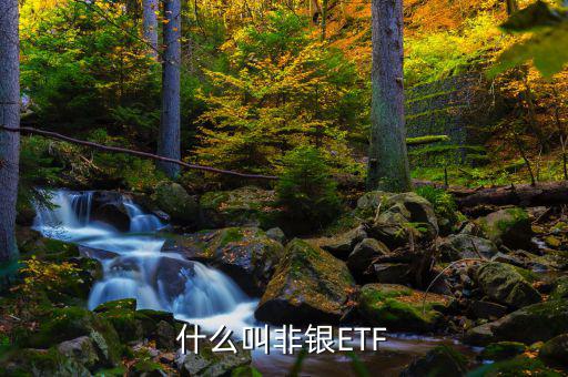 非銀etf是什么意思，易方達(dá)滬深300非銀etf是什么意思