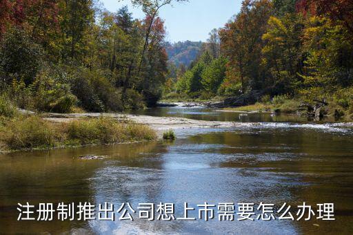 注冊制上市要什么條件，注冊制推出公司想上市需要怎么辦理