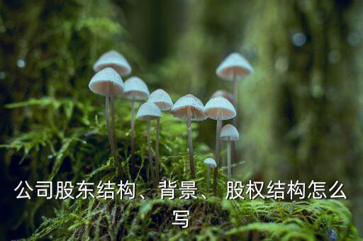 公司股東結(jié)構(gòu)、背景、 股權(quán)結(jié)構(gòu)怎么寫