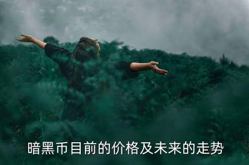  暗黑幣目前的價(jià)格及未來的走勢(shì)