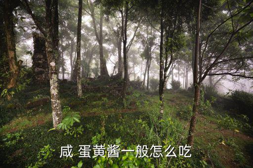 人造蛋黃醬怎么吃,蛋黃醬可用于面包沙拉、壽司等