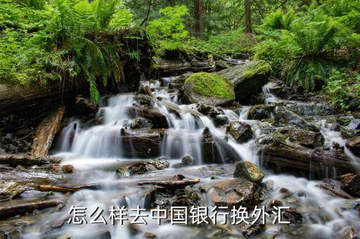 怎么給國(guó)內(nèi)匯外幣,國(guó)內(nèi)匯款400萬人民幣