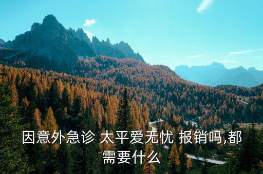 太平人壽怎么報銷,中國-2人壽卓越享一系列產品可滿足您需求
