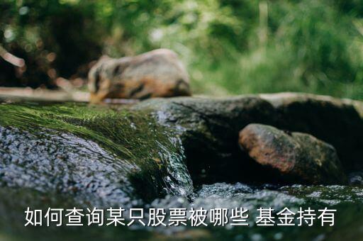 大智慧怎么查基金,如何在同花順網(wǎng)站查詢近期社?；鸸善?/></a></span><span id=