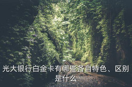 光大銀行白金卡有哪些各自特色、區(qū)別是什么
