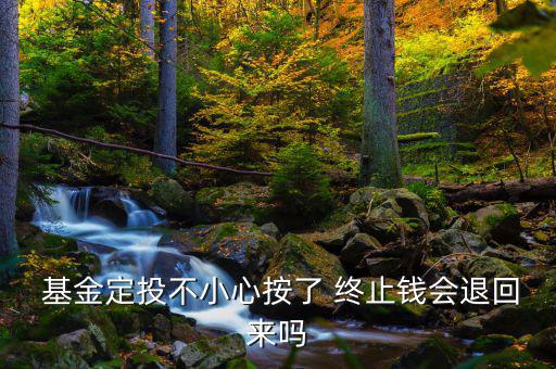  基金定投不小心按了 終止錢會(huì)退回來(lái)嗎