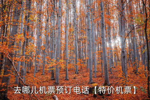 去哪兒退票險怎么用,電子客票比紙質(zhì)客票更方便但風險更小