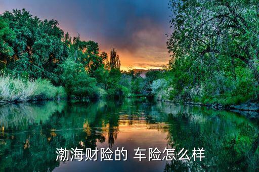 渤海車險理賠怎么樣,親愛的，渤海車險還不錯，挺靠譜的