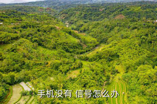 歐奇沒(méi)信號(hào)怎么辦,手機(jī)無(wú)法接聽(tīng)電話(huà)常見(jiàn)原因及解決方法