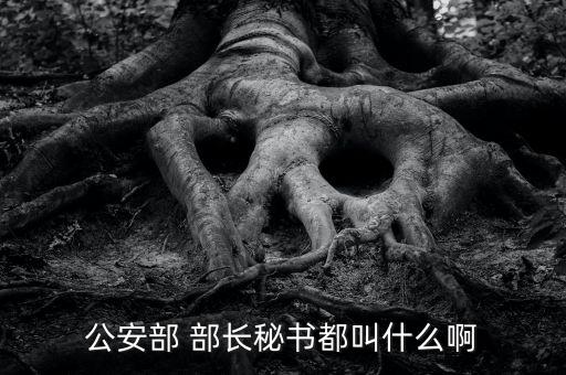 部長助理應(yīng)該怎么做,網(wǎng)民:不叫秘書不叫部門領(lǐng)導!