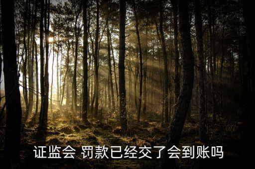  證監(jiān)會 罰款已經交了會到賬嗎