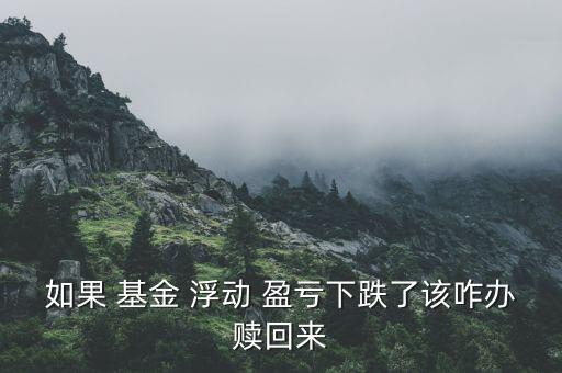 基金浮動(dòng)盈虧怎么提取,浮動(dòng)盈虧是正數(shù)，表示你賺了