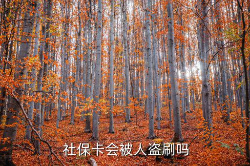 社?？ū槐I刷怎么辦,社保補卡服務丟了怎么辦