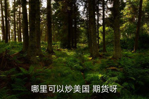 怎么炒美國(guó)期貨,期貨交易特點(diǎn):交易費(fèi)用由期貨公司提供；