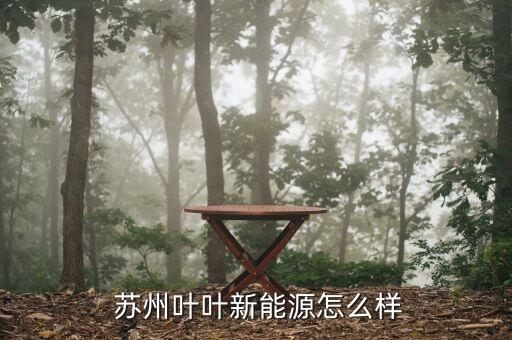 蘇州二葉怎么樣,?？粕究七x拔性考試