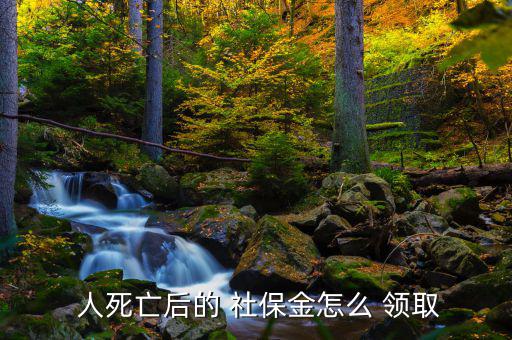 人死后社保怎么領取,如何使用社?？?!