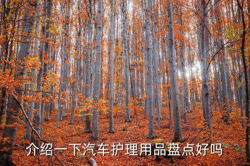 介紹一下汽車護(hù)理用品盤(pán)點(diǎn)好嗎