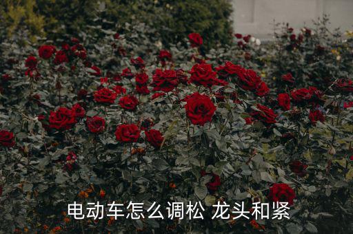 怎么改裝電動(dòng)車龍頭,電動(dòng)車龍頭低不用全拆了!