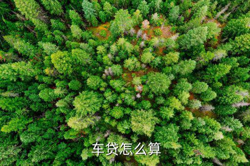 管家分期車貸是怎么算的,分期買(mǎi)車的利息計(jì)算方式