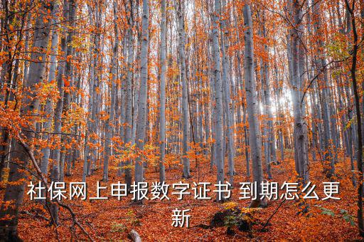 龍灣社保登記證到期怎么更換,社?？ㄟ^期怎么辦?可以這樣做!