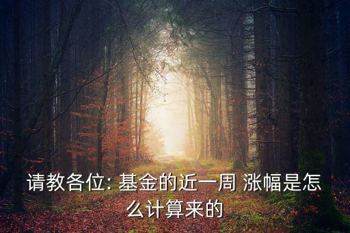 請(qǐng)教各位: 基金的近一周 漲幅是怎么計(jì)算來的
