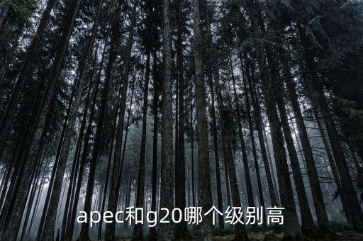 國際貿(mào)易額由什么組成，國際貿(mào)易額和對外貿(mào)易額兩者的區(qū)別