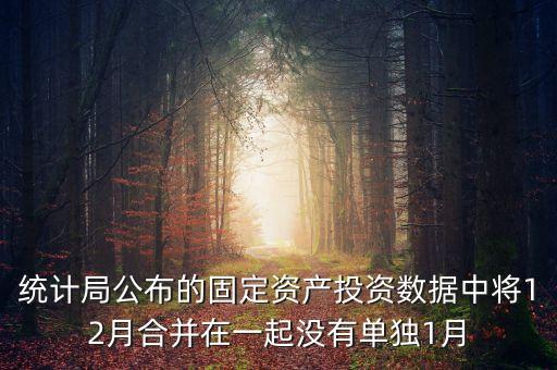 固定資產(chǎn)投資為什么沒(méi)有1月份數(shù)據(jù)怎么處理，上月購(gòu)進(jìn)一固定資產(chǎn)月初建賬時(shí)期初數(shù)據(jù)沒(méi)有將該固定資產(chǎn)錄入