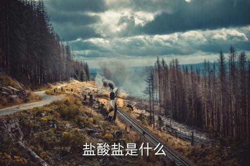 暗保是什么，鹽酸鹽是什么