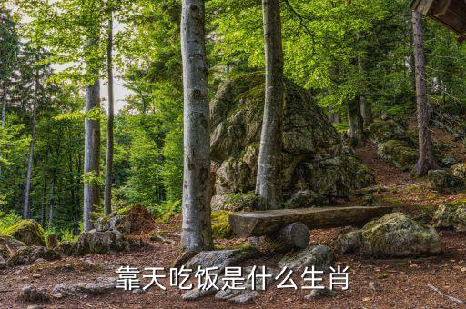 什么是靠天吃飯，靠天吃飯是什么生肖