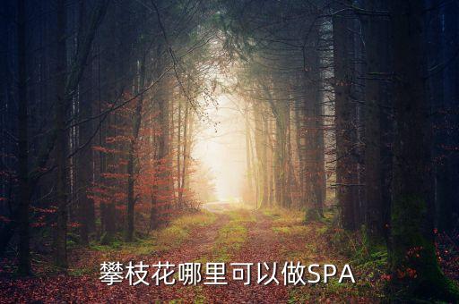 雅化集團(tuán)攀枝花恒泰做什么的，攀枝花哪里可以做SPA