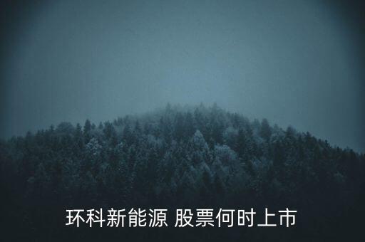 新能源股票什么時(shí)候上市呢，環(huán)科新能源 股票何時(shí)上市