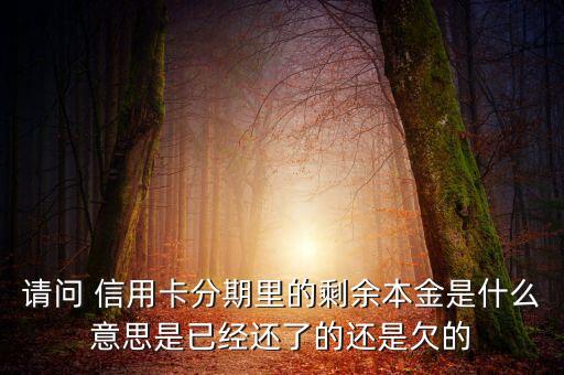 分期付息的本金是什么，請問 信用卡分期里的剩余本金是什么意思是已經(jīng)還了的還是欠的