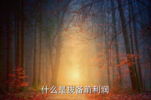 撥備前利潤是什么意思，什么是撥備前利潤