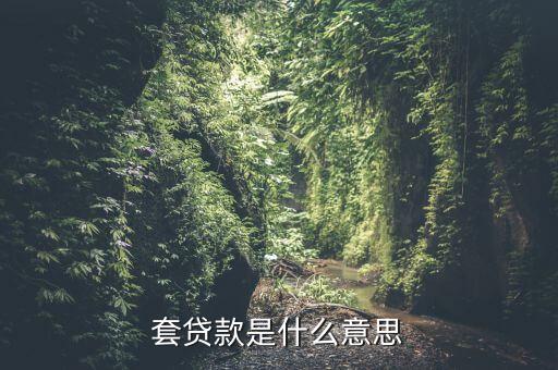 什么是套期，套貸款是什么意思
