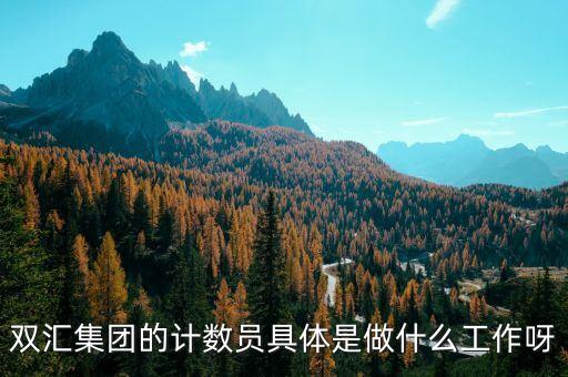 雙匯集團(tuán)的計數(shù)員具體是做什么工作呀