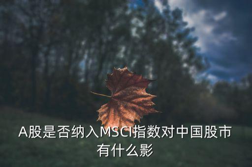 加入明晟指數(shù)有什么用，中國(guó)A股納入明晟會(huì)有什么影響