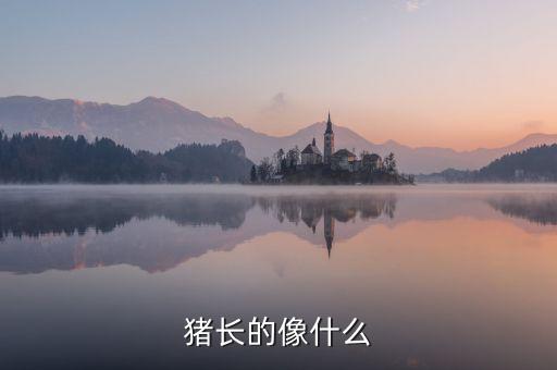 龐振國像什么，單頂鶴的頭頂像什么