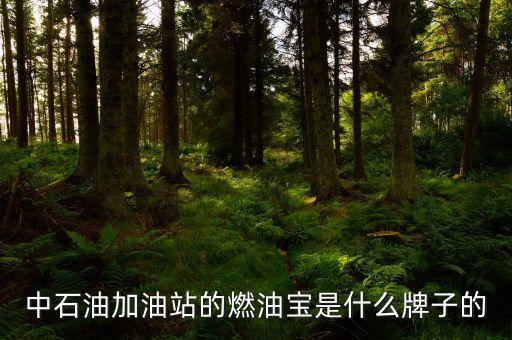 珠海中國石油里賣的是什么燃油寶，燃油寶是什么網(wǎng)上有得賣嗎